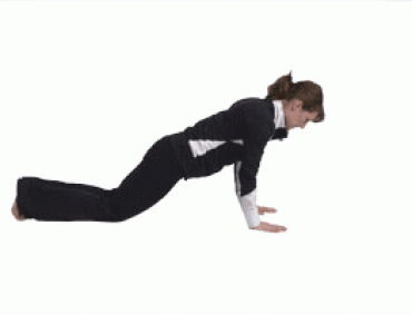 Push Ups from Knees